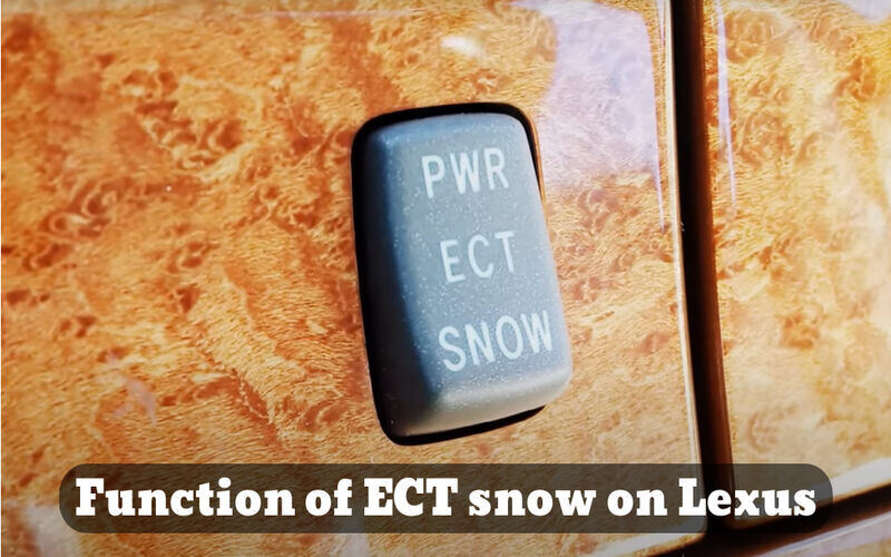 Ect snow lexus